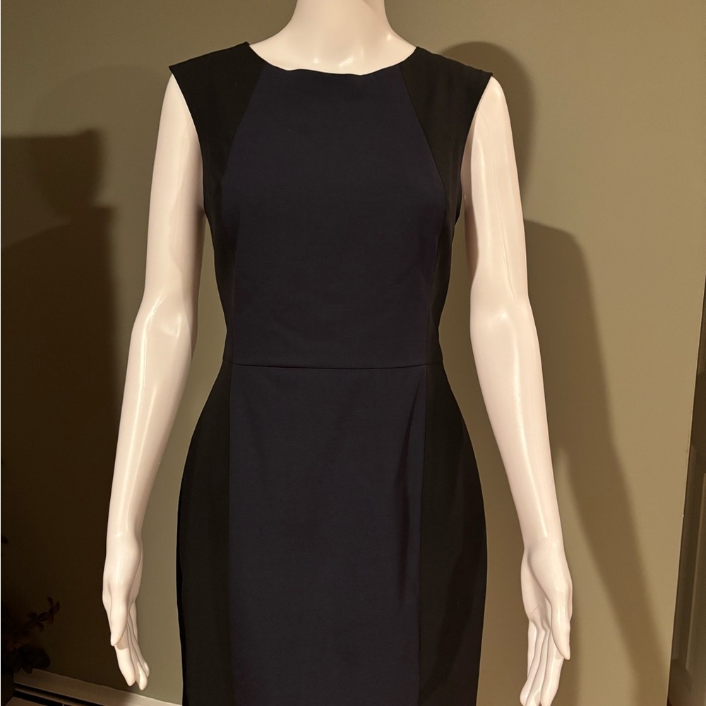 Bananna Republic Black & Navy Sleeveless Dress